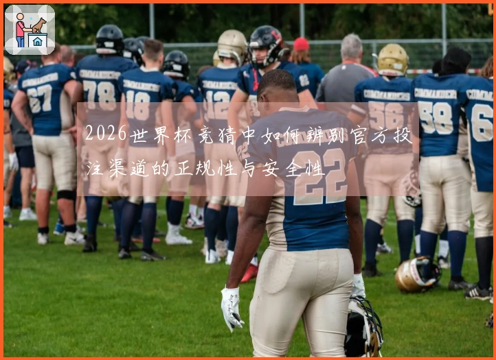 2026世界杯竞猜中如何辨别官方投注渠道的正规性与安全性