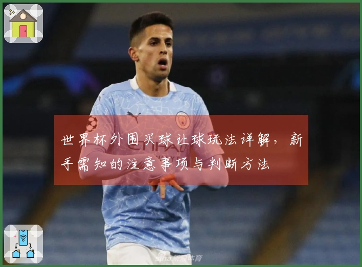 世界杯外围买球让球玩法详解，新手需知的注意事项与判断方法