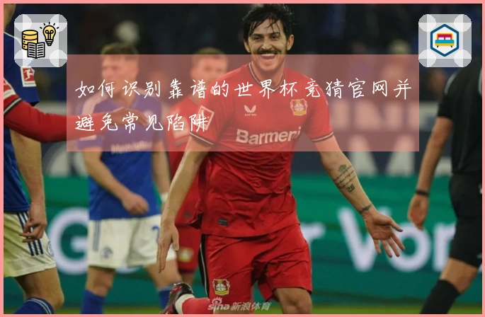 如何识别靠谱的世界杯竞猜官网并避免常见陷阱