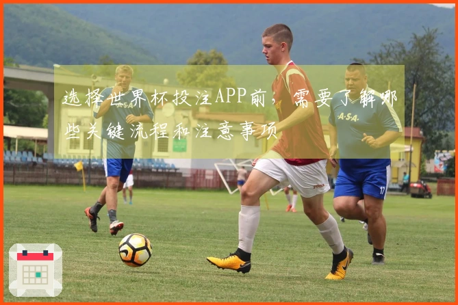 选择世界杯投注APP前，需要了解哪些关键流程和注意事项